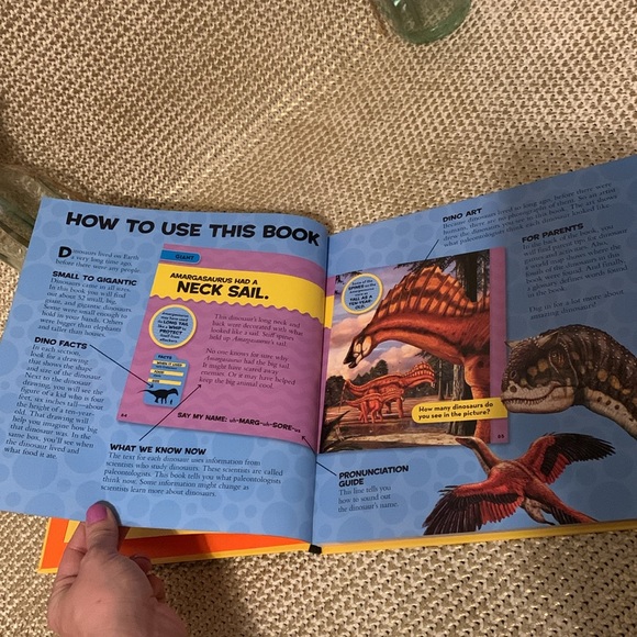 Brand new National Geographic kids hardcover, dinosaur book πππ - Picture 8 of 17
